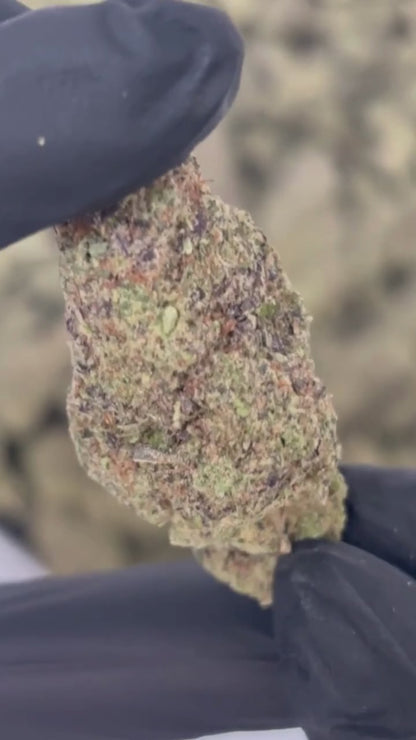 Snow OG – CBD 21% | Indoor Premium | BreizhCBDshop