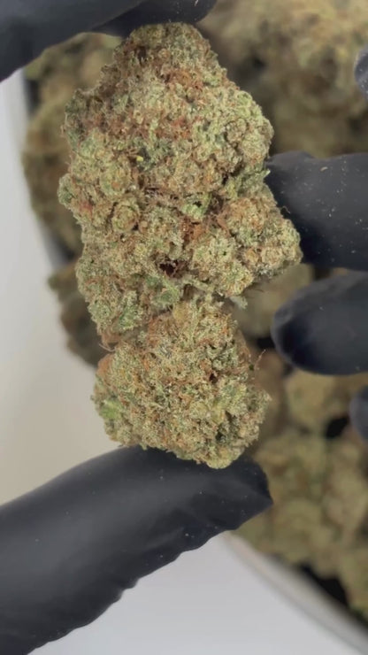 Kosher Kush – CBD 13% | Indoor Premium | BreizhCBDshop