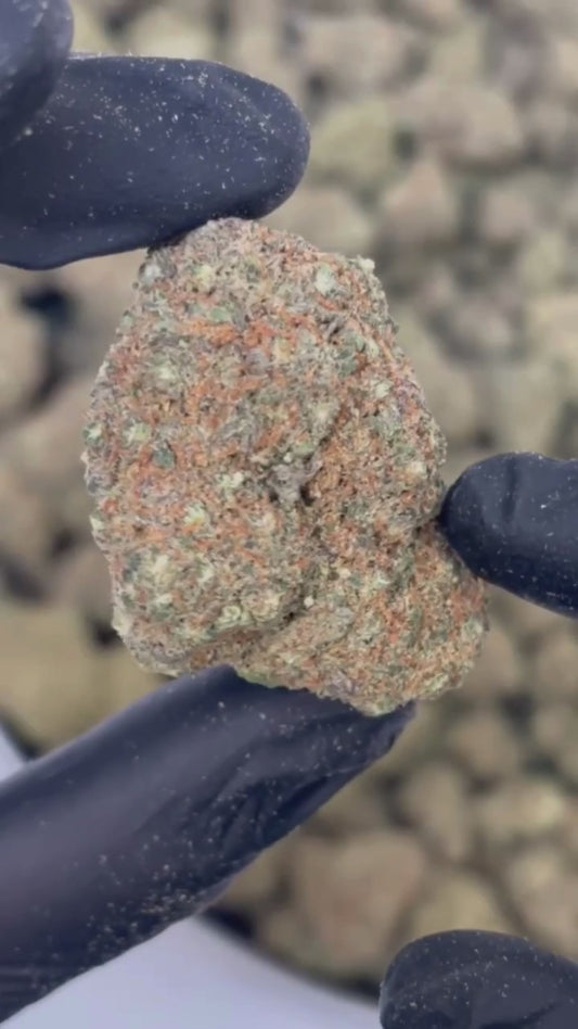 Gorilla Mandarina – Fleur CBD Indoor Cali 12% | Arômes Agrumes & Exotiques | BreizhCBDshop