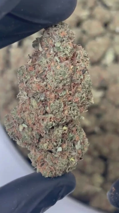 Blue Gelato – CBD 12% | Indoor Premium | BreizhCBDshop