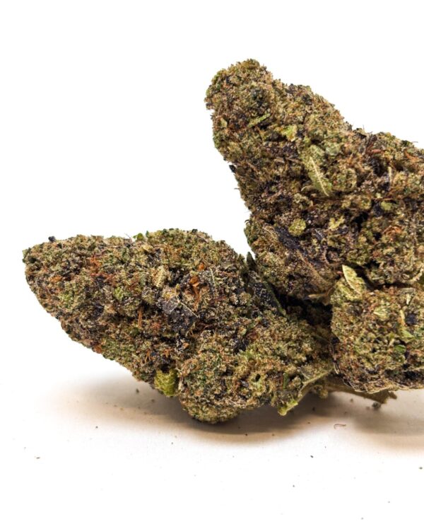 Snow OG – CBD 21% | Indoor Premium | BreizhCBDshop